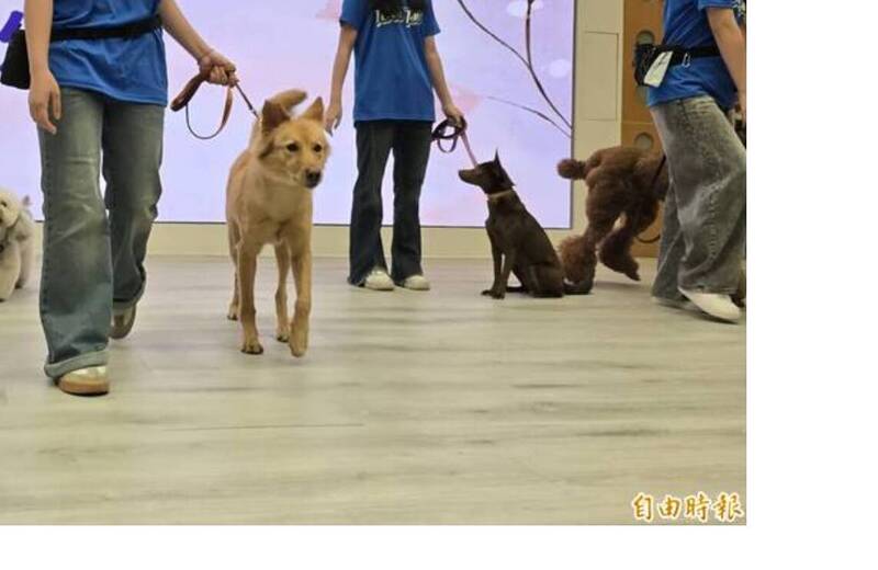 寵物餐廳2犬衝突咬傷人 飼主挨告判拘役30天