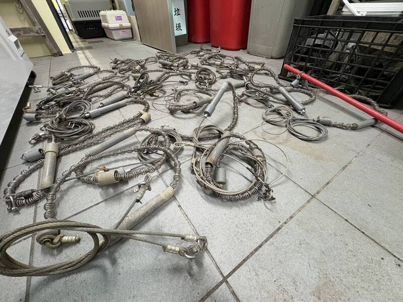 山豬吊害犬貓致截肢 新北動保處祭檢舉繳交獎勵最高150元