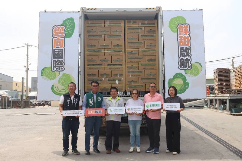 台灣高麗菜外銷達840噸 馬來西亞、韓國成最大市場