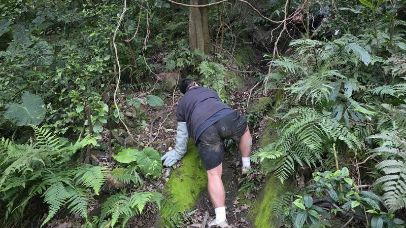 鞭炮嚇跑黑狗受困汐止山區4天 新北動保處攀陡坡救援