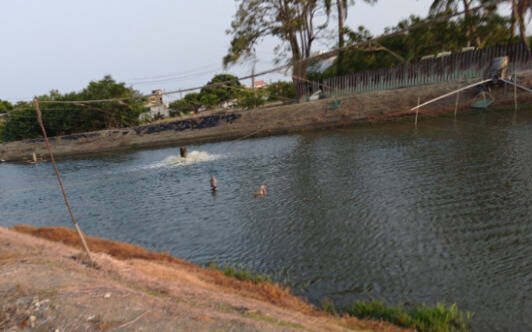 高雄魚塭驚見幽靈網害死十餘隻水鳥 市府勸拆除改友善防鳥