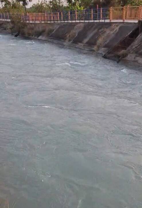 孩童在嘉南大圳旁爬欄杆險象環生 民眾呼籲家屬注意安全