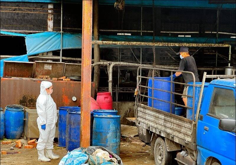 台中養豬場爆非洲豬瘟損失21億 負責人當庭認「有疏忽」卻甩鍋