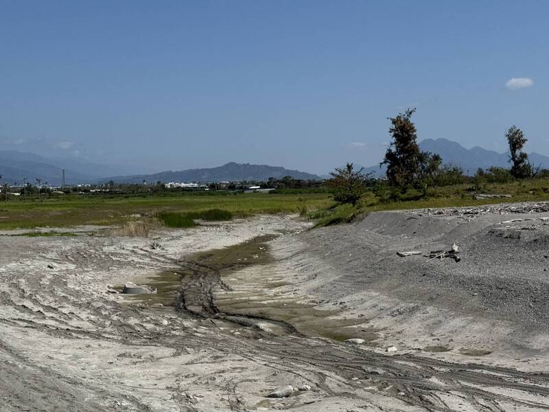 知本濕地「像沙漠」環頸雉銳減 生態團體:縣府截斷水源問題更大