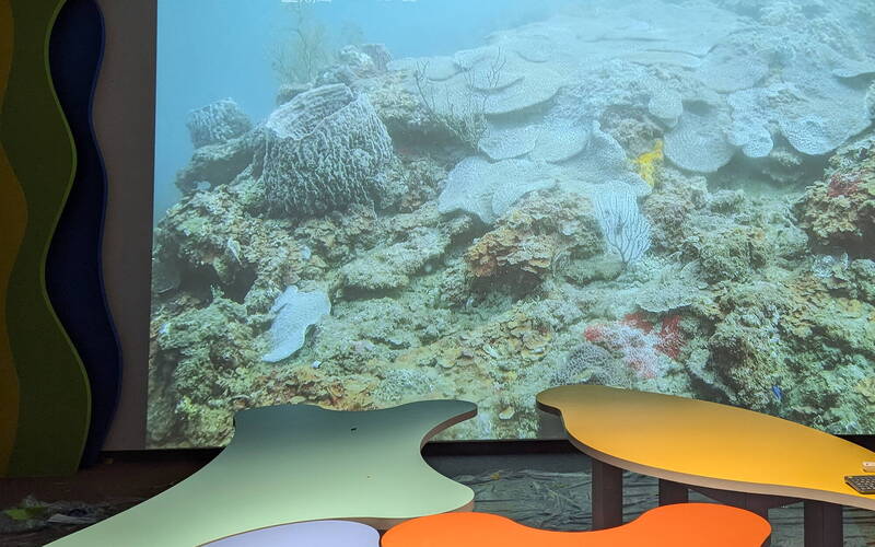 海科館建置潮境海灣水下即時影像 在家看盡海底事