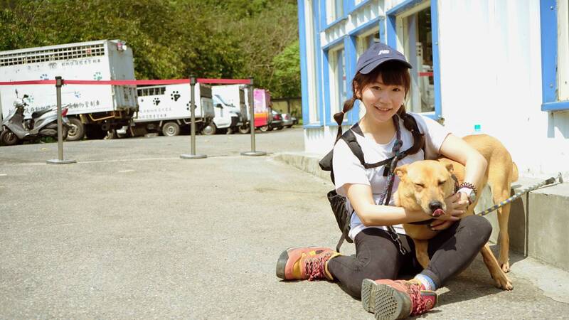 新北90名青年志工守護收容犬貓 陪伴翻轉命運提升認養率