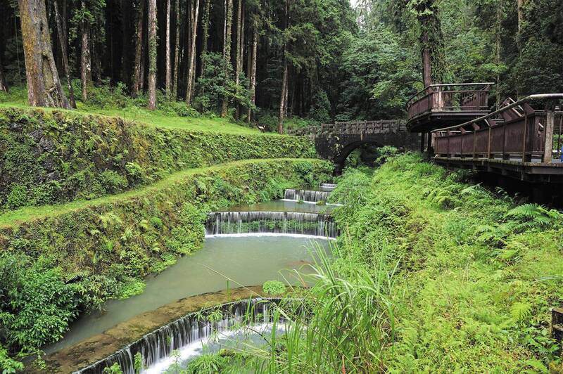 阿里山神怡橋整治奪台灣景觀大獎傑出獎