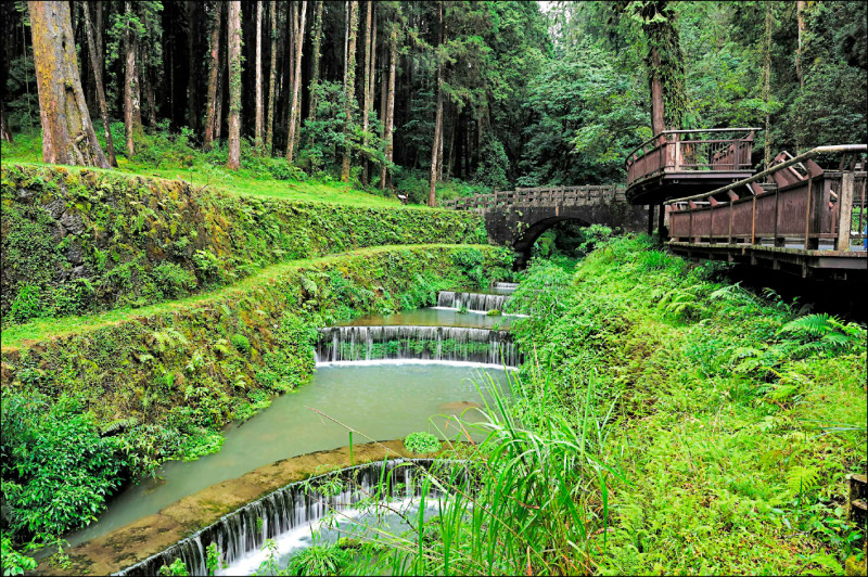 阿里山神怡橋整治 獲台灣景觀大獎傑出獎