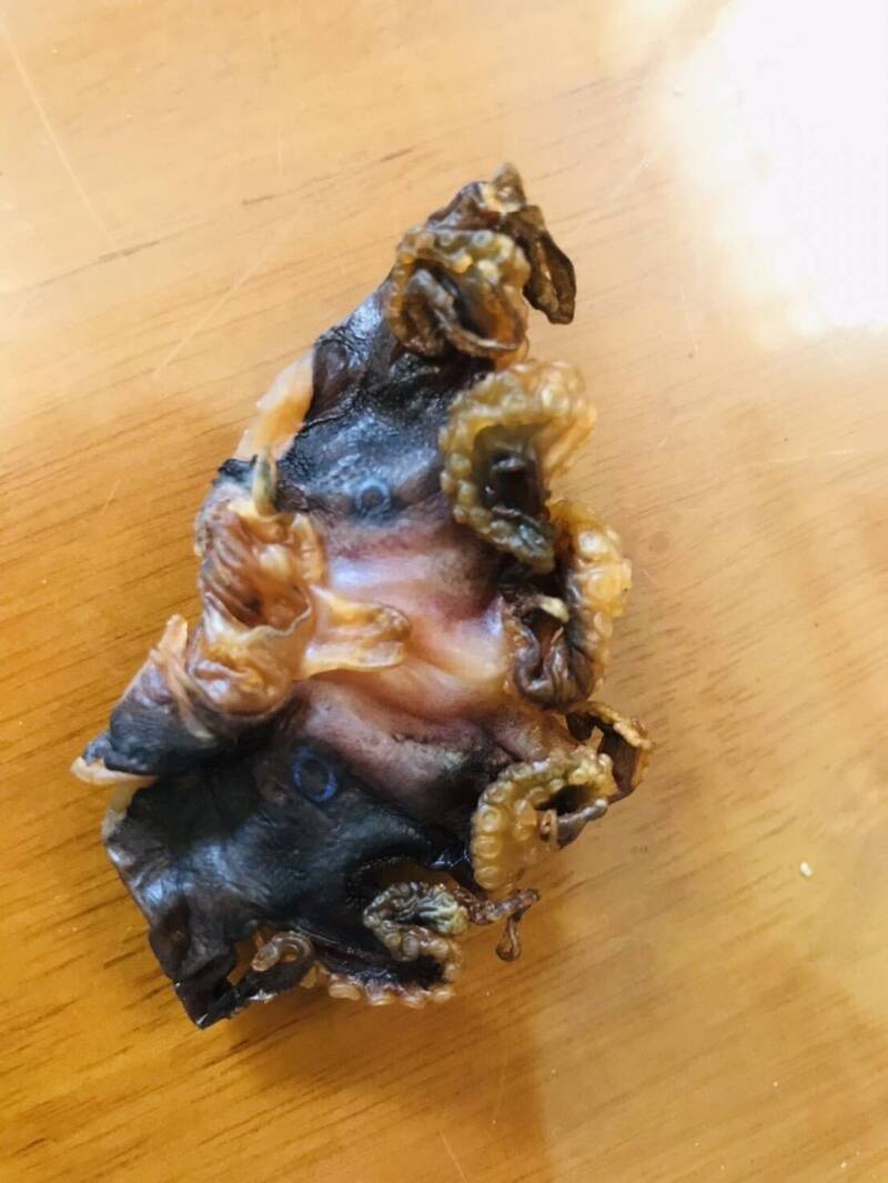 團購澎湖石鮔乾煮滷肉 赫見疑似藍環章魚嚇壞消費者