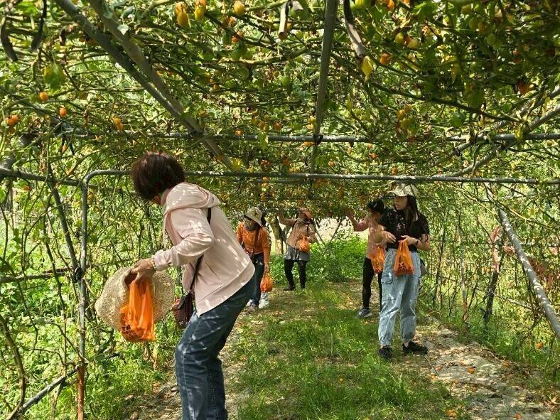 台南「螢光花泉季」4/11登場 打造春季限定漫遊之旅