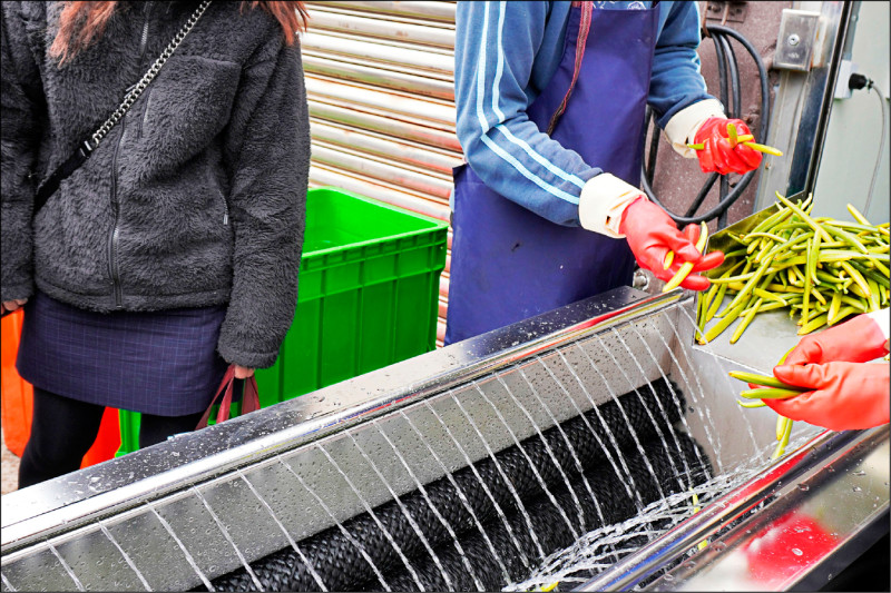 香草莢製程再進化 香氣提升3成