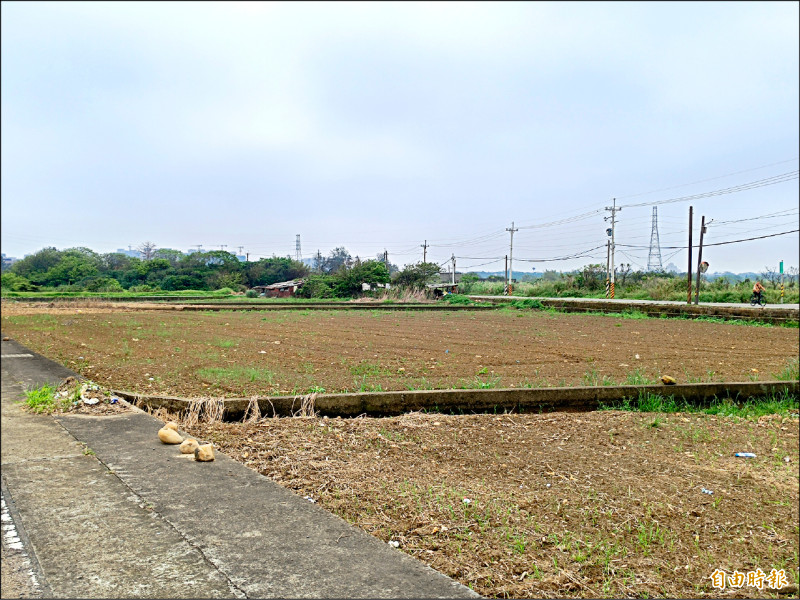 桃園產業用地缺口2500公頃 擬與地主合作