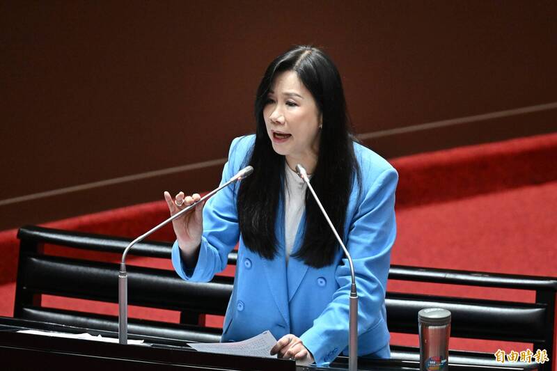 總預算卡關》張善政甩鍋中央 萬美玲:卡桃園建設的是卓揆