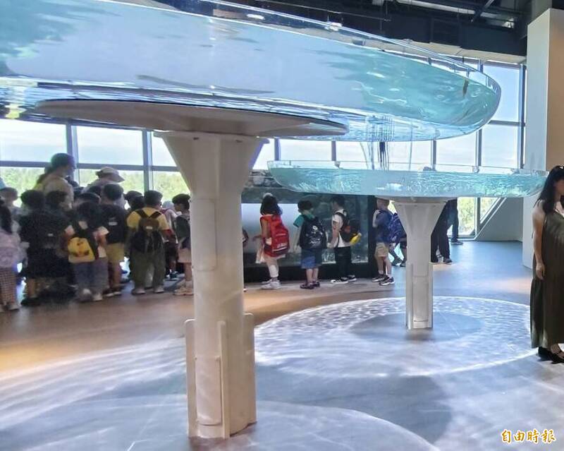 泰國鯽驚傳跳缸!遊客拍打展缸、伸手撈 台中海洋館籲尊重生物