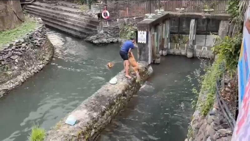 違者開罰!遊客帶黃金獵犬闖「生命之水」主圳道 來義鄉親氣炸