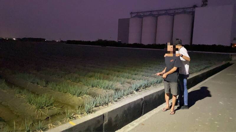 青蔥賊深夜狂割1000公斤！ 19度巡田落網下場曝