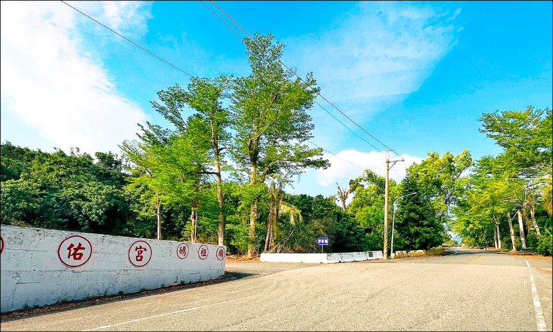 鹿野警妻頭重創遇害 恐成懸案