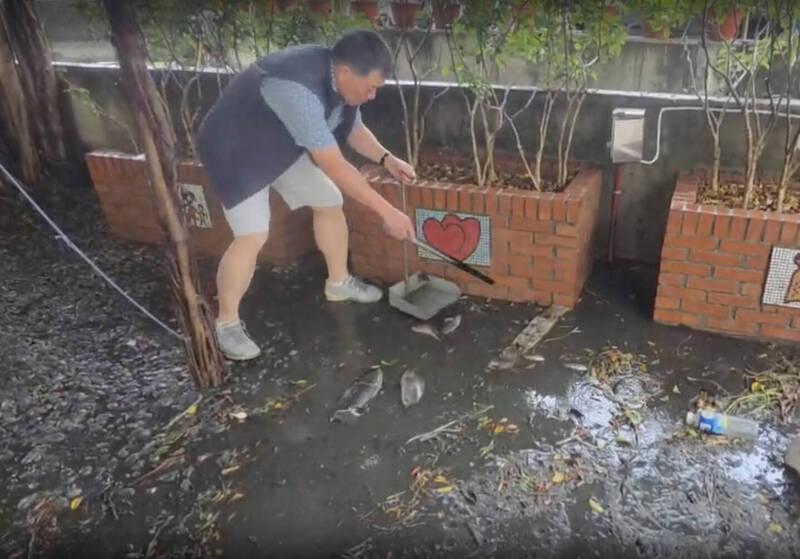 台中暴雨變「抓魚現場」！道路淹水 民眾雨中撈魚