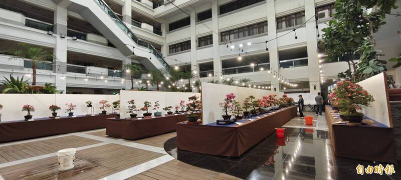 豐原區陽明市政大樓「皐月杜鵑花季展」登場，碰上台中降下豪雨，一樓中庭漏水，緊急擺出「水桶陣」。（記者張軒哲攝）