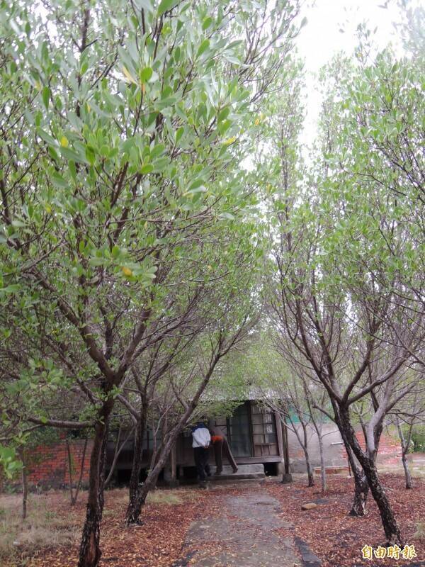 扳回一城!中石化「台南工場宿舍」古蹟爭議 市府逆轉勝發回更二審