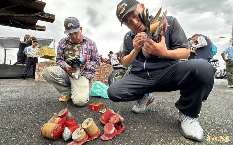 為鴿子綁鴿笭準備放飛。（記者劉婉君攝）