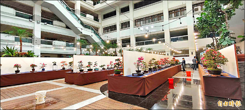 台中皐月杜鵑花展 陽明市政大樓漏水