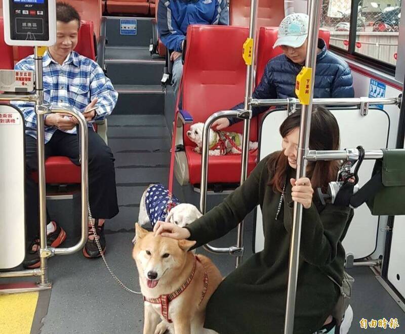 寵物環境2-1》新北寵物公車使用率不到1成 議員批看得到吃不到