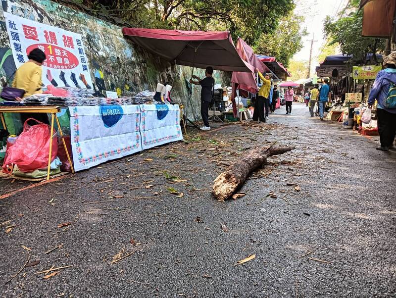 台中大雨大坑9號步道枯樹倒下砸攤架 幸無人傷