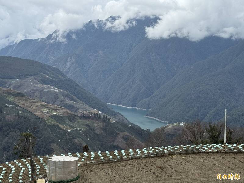 細水長流！春雨為德基水庫進帳600萬噸