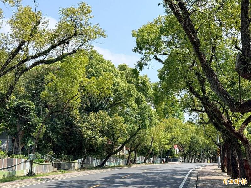 「活清明」陽氣轉強!廖大乙:小心「見不得光」之事 轉運要多見陽