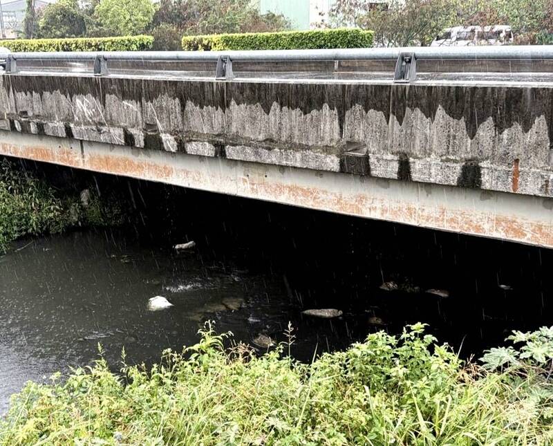 台南永康蜈蜞潭中排魚群暴斃 採檢調查水質