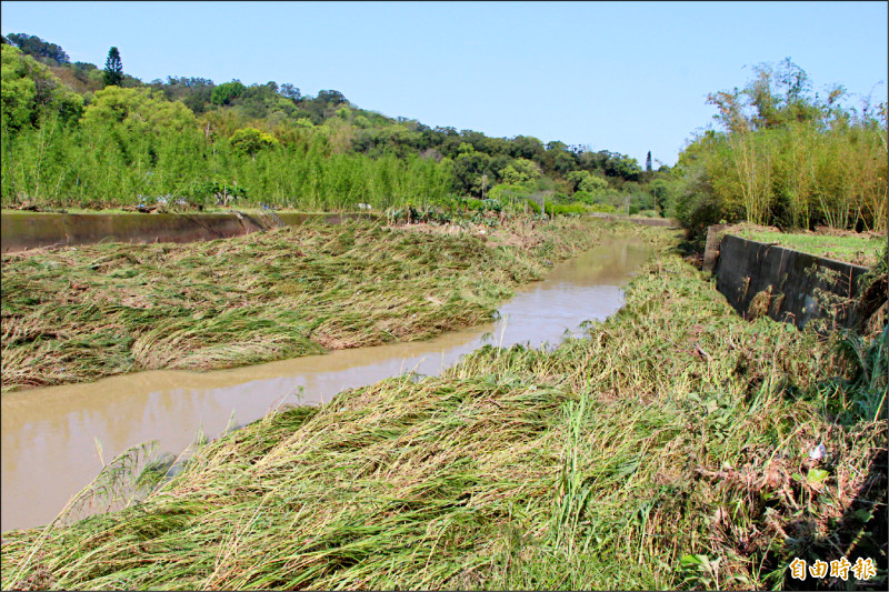 苗栗頭屋沙河溪溢堤 10戶淹水最高2米