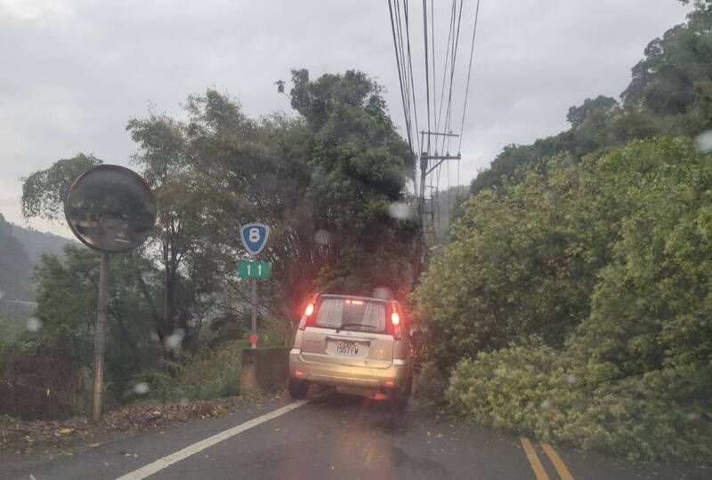 中橫山區持續下雨便道取消上午通行班次 台八線路樹倒派員移除