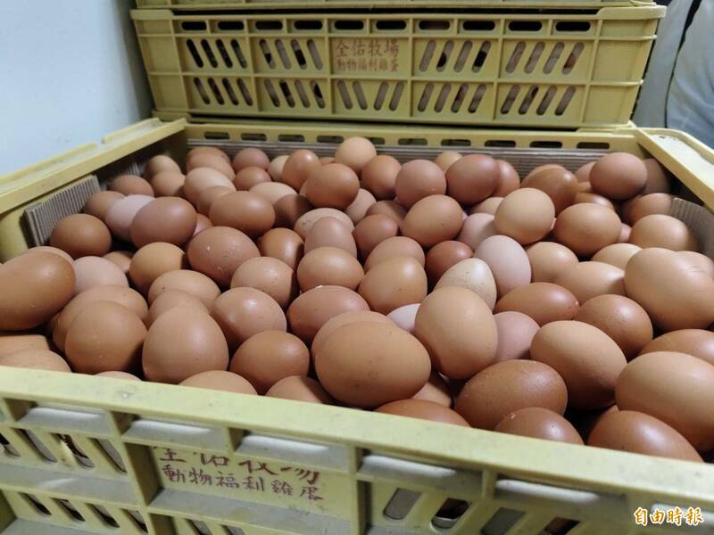 春捲患者檢出沙門氏菌 醫:雞蛋清潔加熱要完全