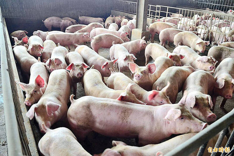 《TAIPEI TIMES》 Taiwan regains ASF-free status from the WOAH