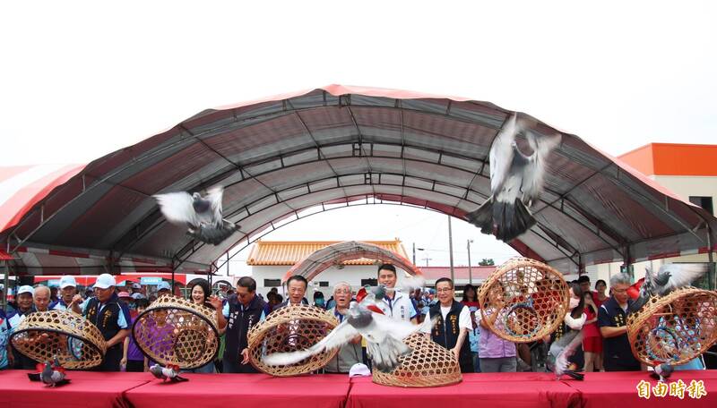 傳承百年農村競技 義竹鴿笭文化季盛大「開籠」