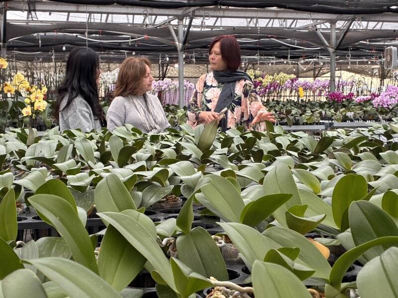 台美新經貿 蘭花業者籲思考貼近市場在地化生產