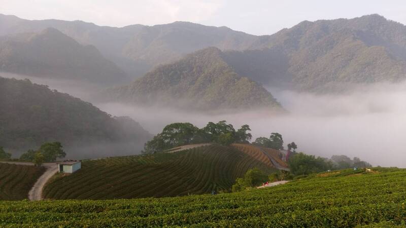 李四川拋爭取鬆綁坪林水源區 周軒酸:問過前老闆蔣萬安嗎?