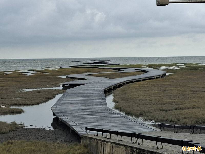 高美濕地難以跟台江國家公園相較? 議員要市府設立專責管理機構