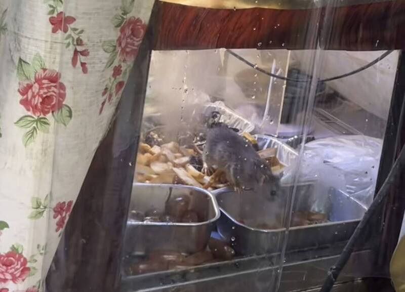 淡水英專路滷味攤「老鼠菜盤狂竄」！ 新北衛生局將稽查