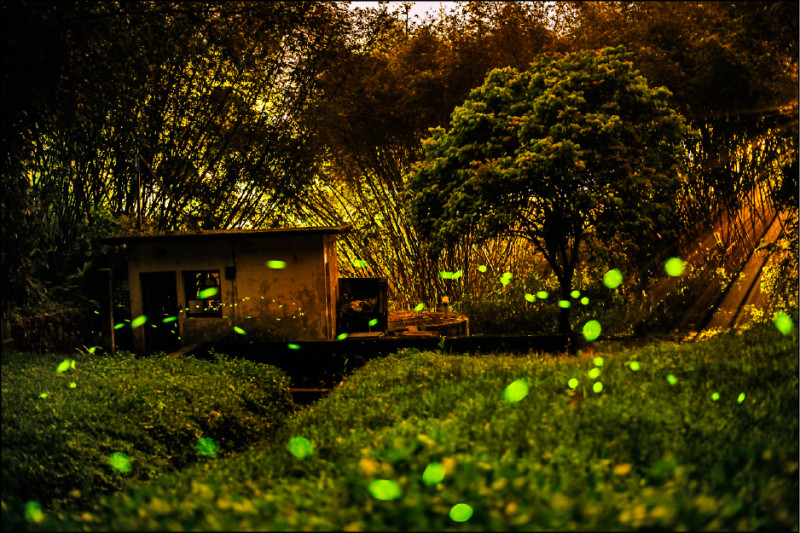 日月潭賞螢觀星 來趟原味小旅行