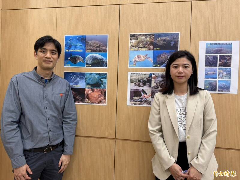 海龜受傷需逾500天才能復原 中研院籲熱點設低速航行區