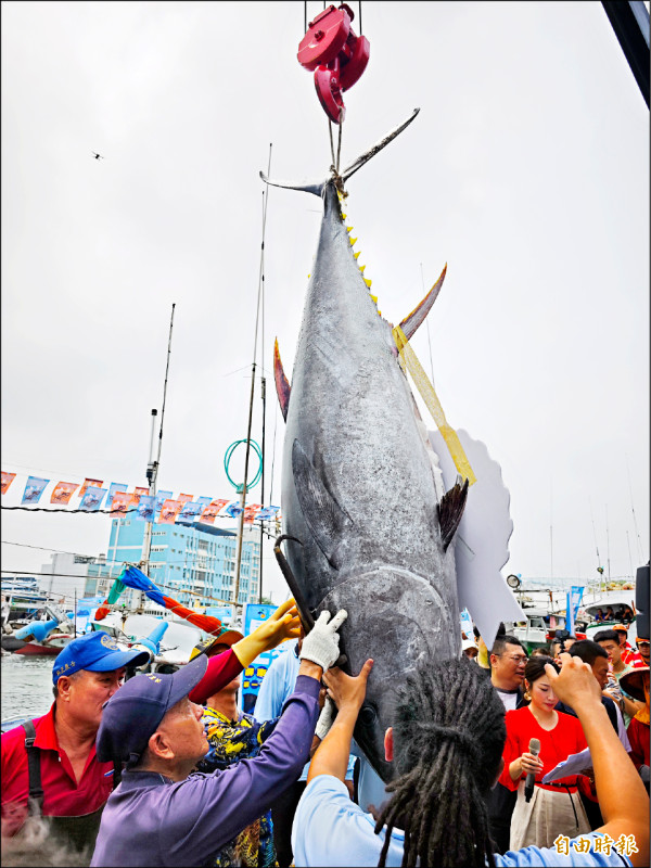 「屏東第一鮪」進港 190公斤拍賣201.4萬