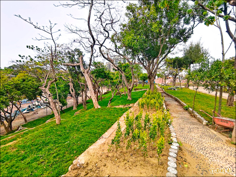 廿公頃綠色秘境五月亮相,圖中草皮前身為露營區。
(記者王榮祥攝)