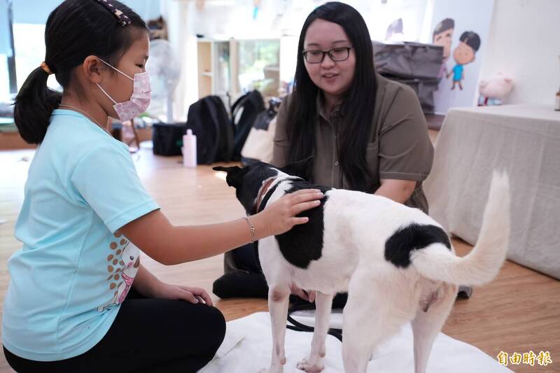 全國首創流浪犬變身「樂陪犬」 9月深入社區陪伴老少