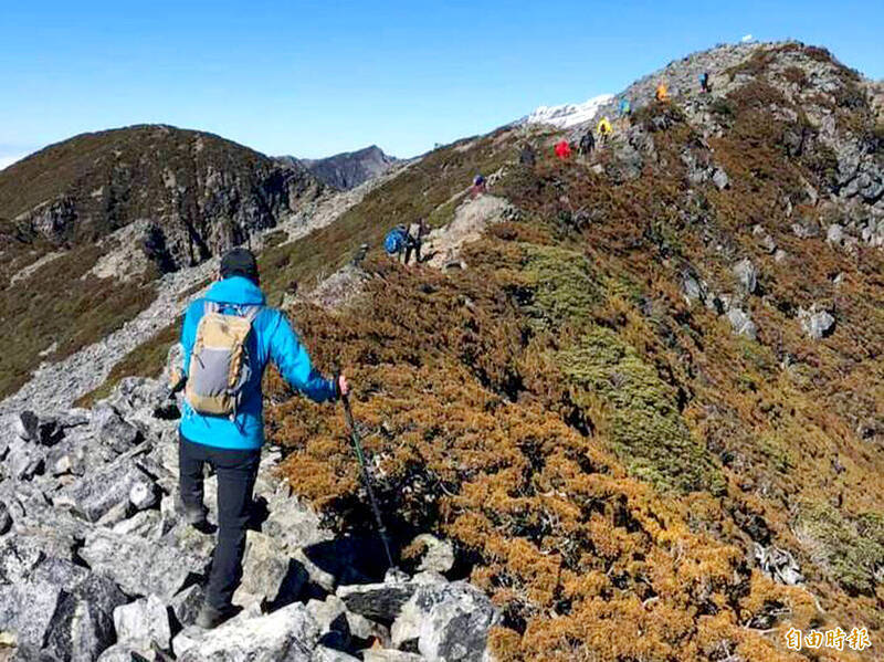 擅將攝影師作品上架NFT販售 「回歸山林」負責人侵害著作權GG了