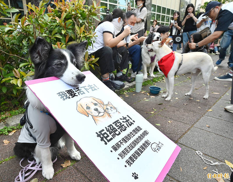 《TAIPEI TIMES》Supply concerns delay animal drug regulations