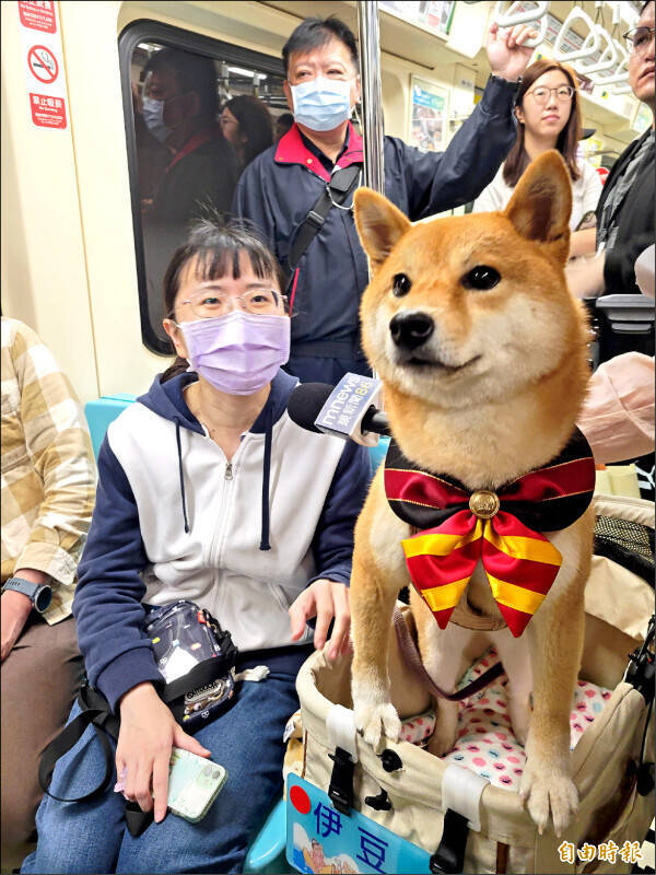 貓蛇不行、進站要關籠 北捷狗狗友善列車惹議