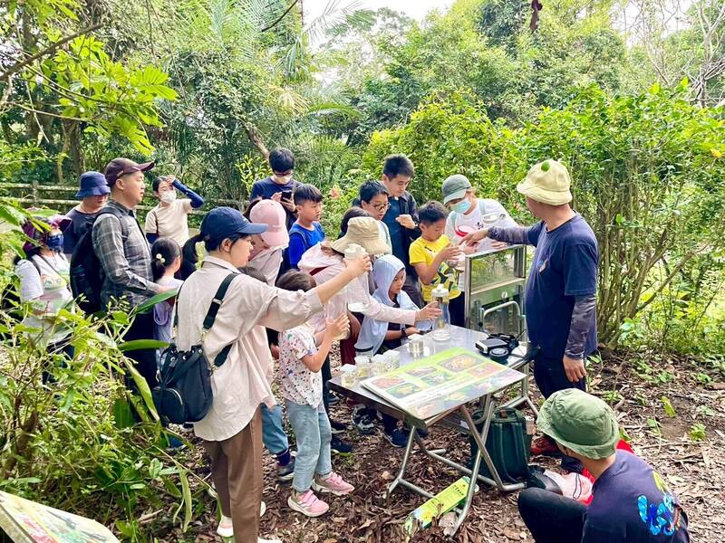 大坑蝶螢嘉年華開跑! 賞螢活動昨展開,5、6月還有賞蝶