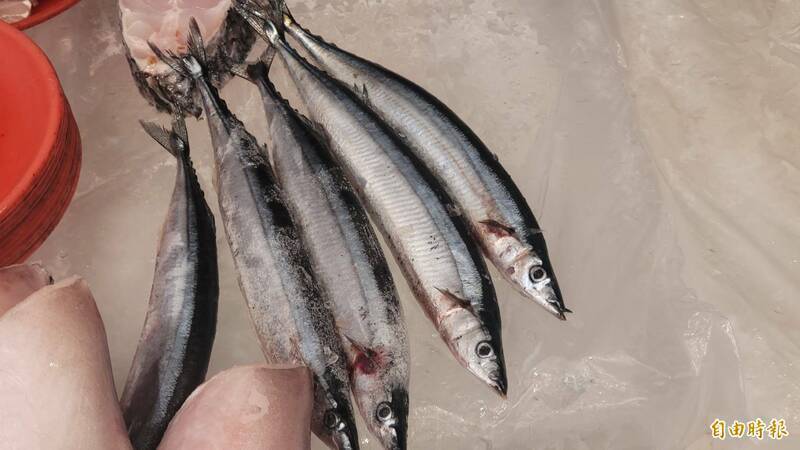 中國惠台措施稱讓遠洋漁船可停泊卸貨 漁業署:2012年起已特許直航停靠